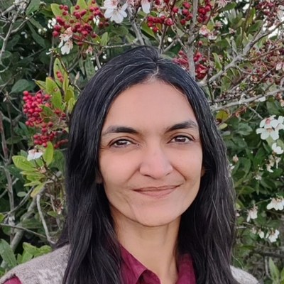 Aarti Subramaniam, PhD, AMFT
